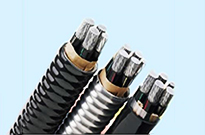 耐高温电线电缆出口需注意的五个方面